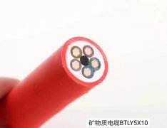 礦物質(zhì)電纜系列